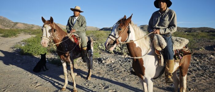 MVIMG_20260219_075841