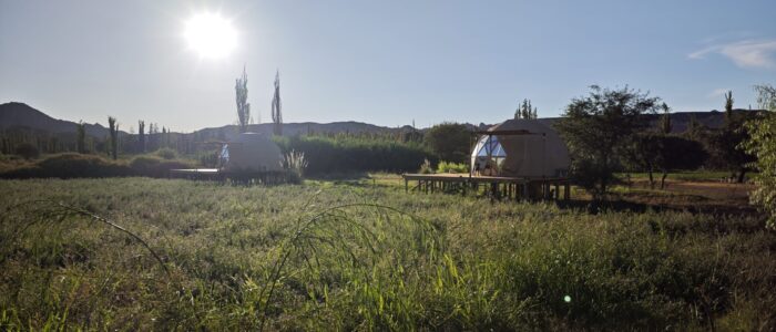 MVIMG_20260219_081220